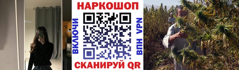 Купить Новая Ладога Гашиш  Cocaine  Метадон  Псилоцибиновые грибы  Меф мяу мяу  АМФЕТАМИН  Альфа ПВП 