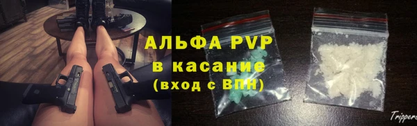гидра Алзамай