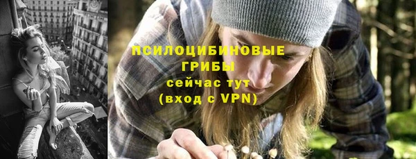 гидра Алексин