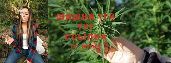 гидра Алексин