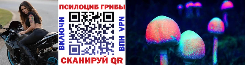 закладка  Новая Ладога  Галлюциногенные грибы Magic Shrooms 